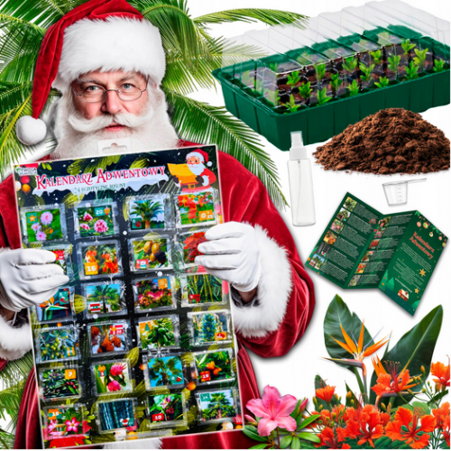 Advento kalendorius "Egzotiniai augalai" 