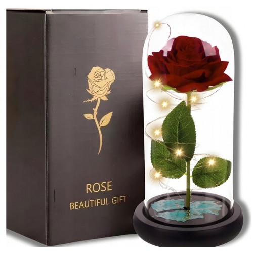 Amžina rožė po kupolu LED