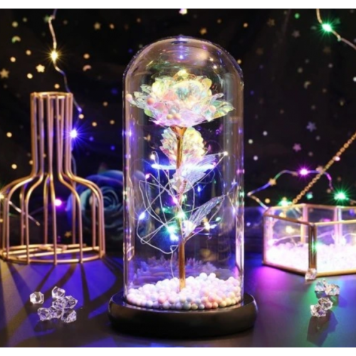 Amžina rožė po kupolu LED "Daugiaspalvė"