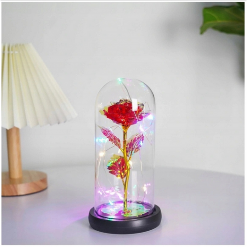 Amžina raudona rožė po kupolu su LED apšvietimu