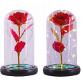 Amžina raudona rožė po kupolu su LED apšvietimu