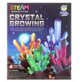 Kristalų auginimas: Stebuklingas Mokslo Eksperimentas
